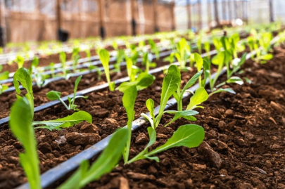 Agricultural & Irrigation Water Solutions
